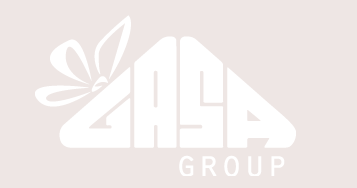 GASA GROUP logo