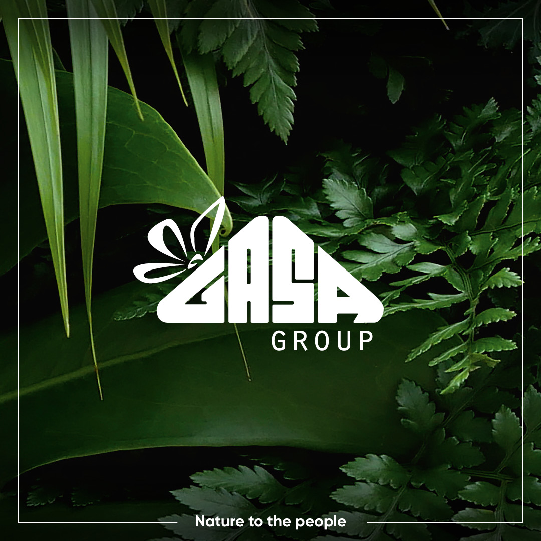 GASA GROUP graphic